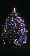 Bennington's Christmas tree lit during 'Home for the Holidays ...