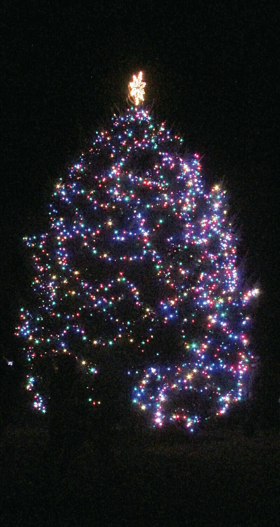 Ed Bennington Bennington's Christmas tree lit during 'Home for the Holidays ...