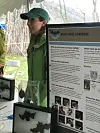 Vermont experts say bats need our help. How do we get over our fear of ...